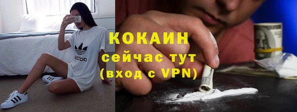 шишки Абдулино