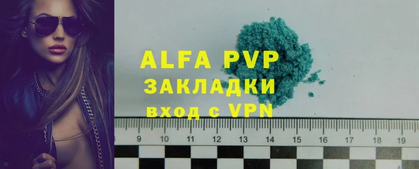 индика Абаза