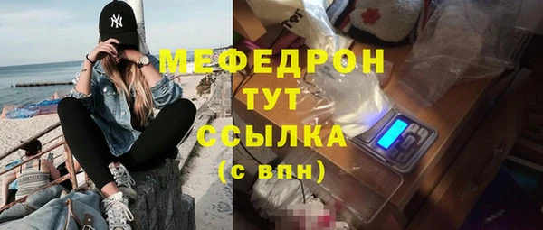 индика Абаза