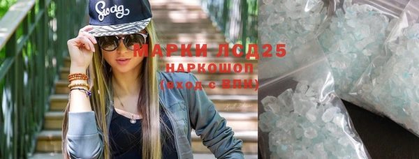 индика Абаза