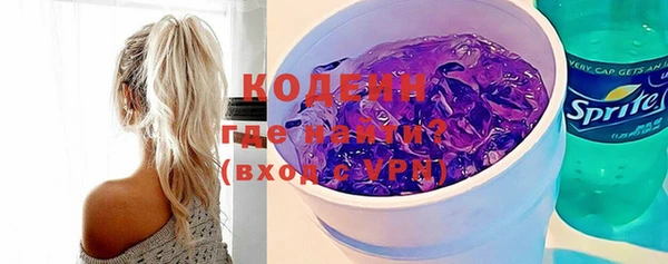 индика Абаза