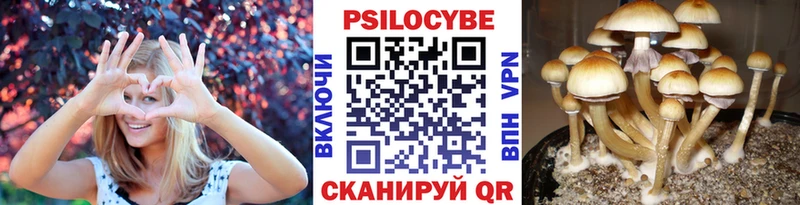 дарк нет клад  Княгинино  Галлюциногенные грибы мицелий  hydra маркетплейс 